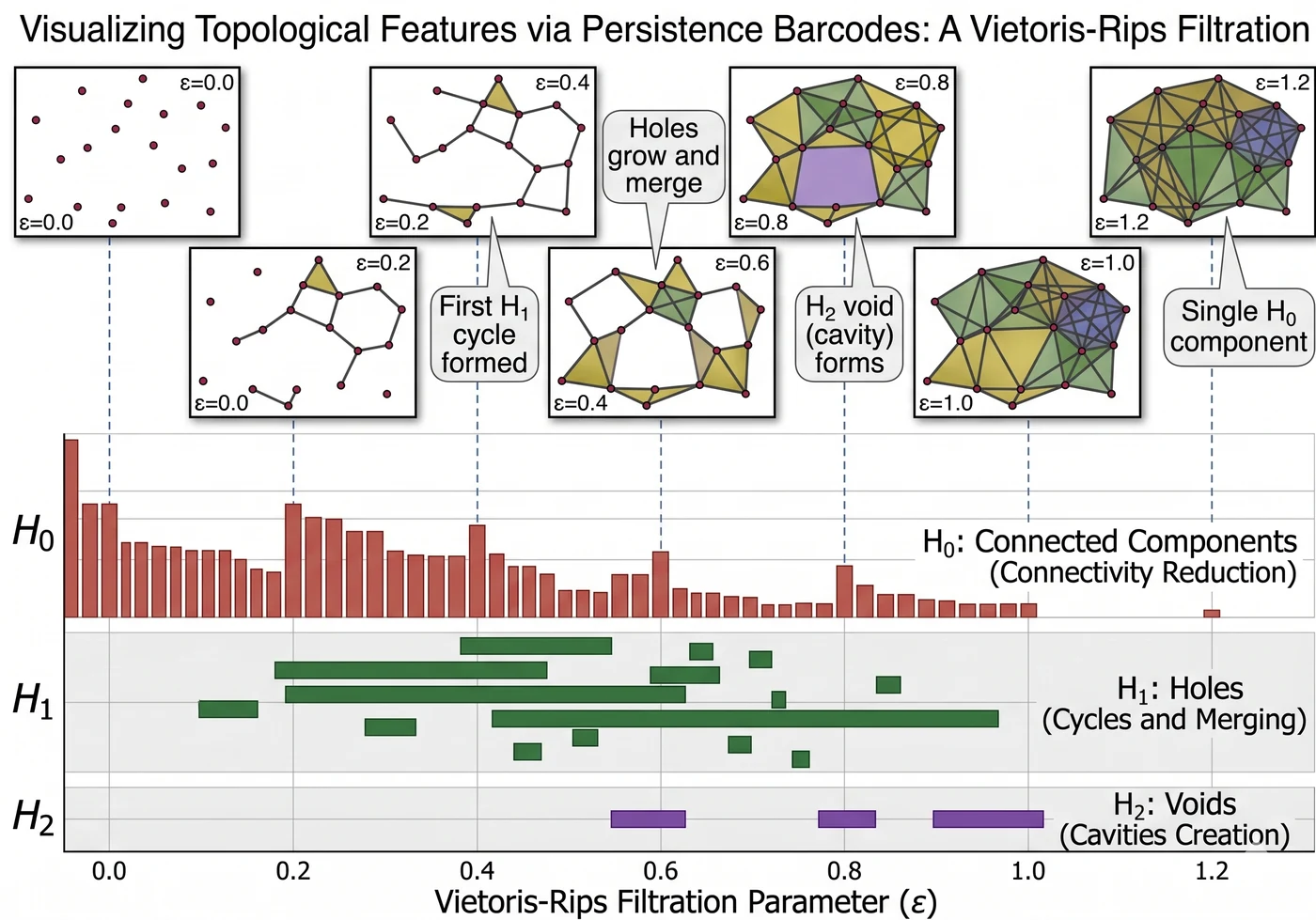 Persistence barcode — horizontal bars at varying heights show the lifespan of each topological feature across the filtration scale; longer bars indicate robust features, shorter bars are noise
